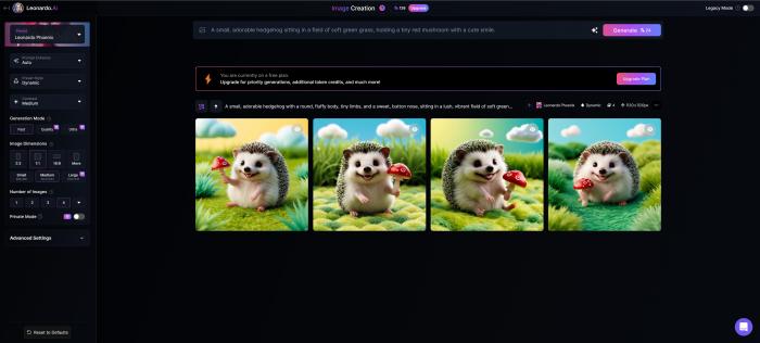 step5_generate and preview